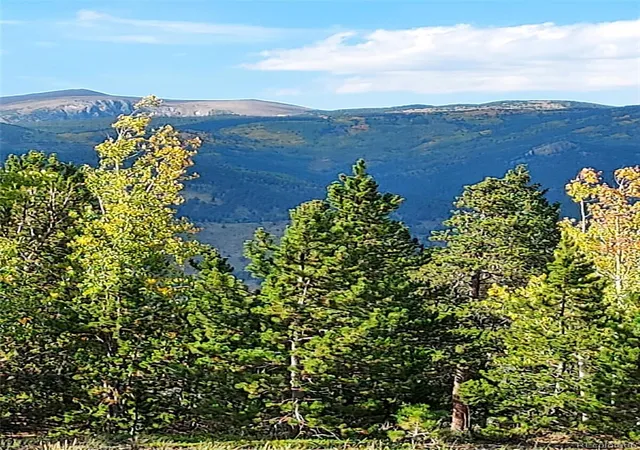3rd image of 000 Frank C, Idaho Springs, CO 80452 | MLS# 4009474