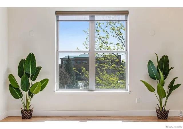 5th image of 204 Maple St, Fort Collins, CO 80521