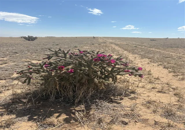 1st image of Lot 10 Cuerno Verde Ranches, Walsenburg, CO 81089 | MLS# 6405718