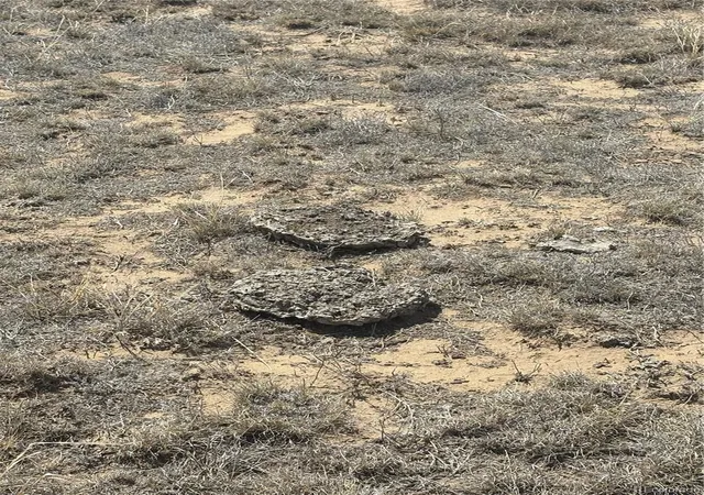 3rd image of Lot 10 Cuerno Verde Ranches, Walsenburg, CO 81089 | MLS# 6405718