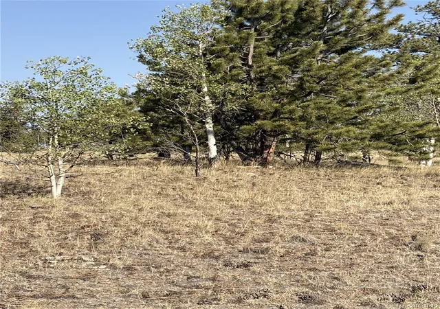 Photo 3 of Land for sale at 3031 Mcdowell Dr, Como, CO 80432 | MLS# 5832407 | Listing updated on 2026-07-16