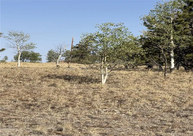 Photo 4 of Land for sale at 3031 Mcdowell Dr, Como, CO 80432 | MLS# 5832407 | Listing updated on 2026-07-16