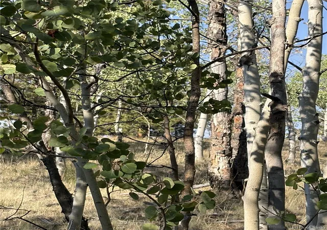 Photo 5 of Land for sale at 3031 Mcdowell Dr, Como, CO 80432 | MLS# 5832407 | Listing updated on 2026-07-16