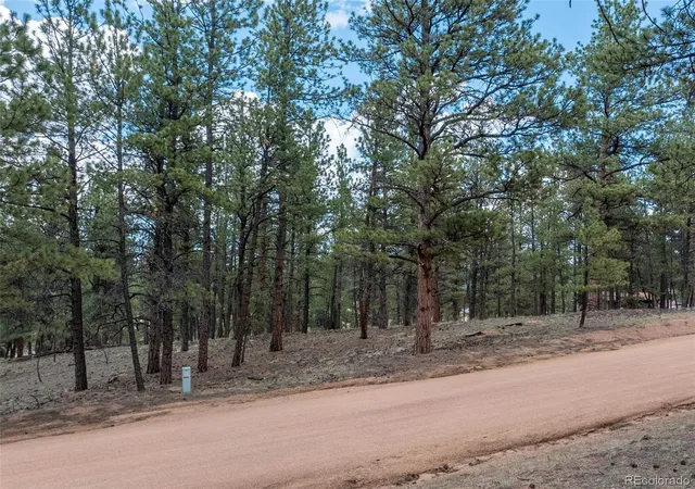 18th image of 41 & 73 Ingels Dr, Florissant, CO 80816 | MLS# 4951359