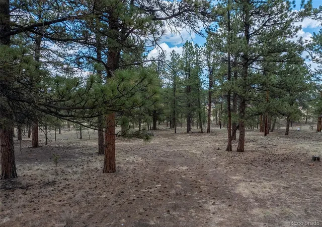 2nd image of 41 & 73 Ingels Dr, Florissant, CO 80816 | MLS# 4951359