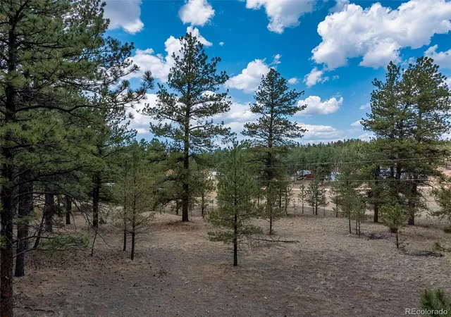 3rd image of 41 & 73 Ingels Dr, Florissant, CO 80816 | MLS# 4951359