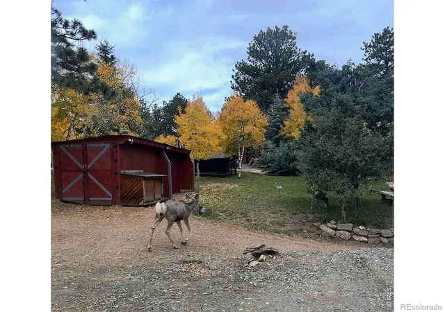 Photo 3 of Single family home for sale at 280 Bunny Rd, Bailey, CO 80421 | MLS# IR1064435 | Listing updated on 2026-08-13