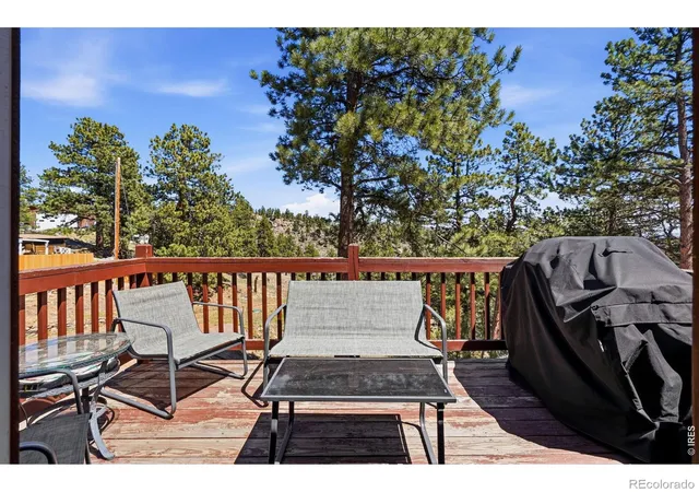 Photo 4 of Single family home for sale at 280 Bunny Rd, Bailey, CO 80421 | MLS# IR1064435 | Listing updated on 2026-08-13
