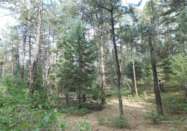 33rd image of 8169 Bannock Dr, Larkspur, CO 80118 | MLS# 3073385
