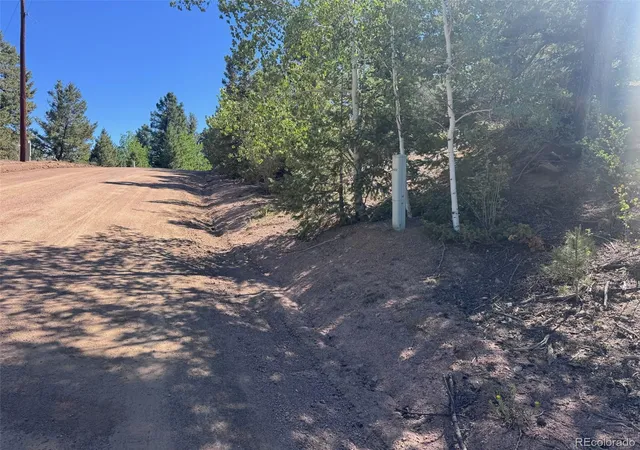 17th image of 2334 N Mountain Estates Rd, Florissant, CO 80816 | MLS# 8167926