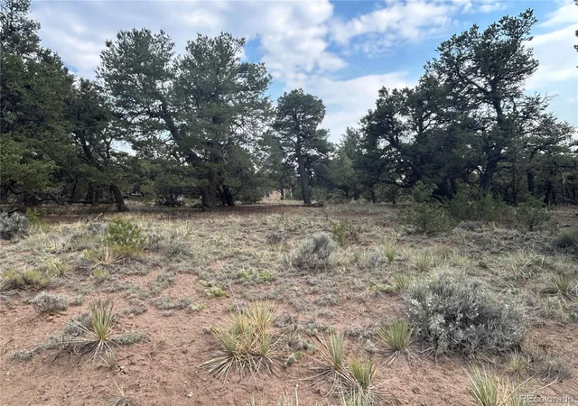 Photo 2 of Land for sale at 3530 Camino Del Rey, Crestone, CO 81131 | MLS# 7562909 | Listing updated on 2026-07-19
