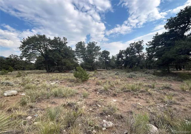 Photo 3 of Land for sale at 3530 Camino Del Rey, Crestone, CO 81131 | MLS# 7562909 | Listing updated on 2026-07-19