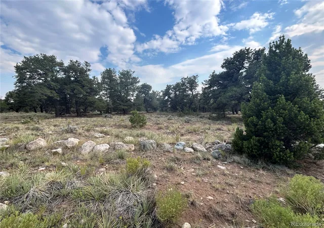 Photo 4 of Land for sale at 3530 Camino Del Rey, Crestone, CO 81131 | MLS# 7562909 | Listing updated on 2026-07-19