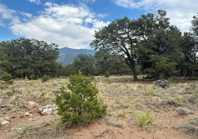 Photo 5 of Land for sale at 3530 Camino Del Rey, Crestone, CO 81131 | MLS# 7562909 | Listing updated on 2026-07-19