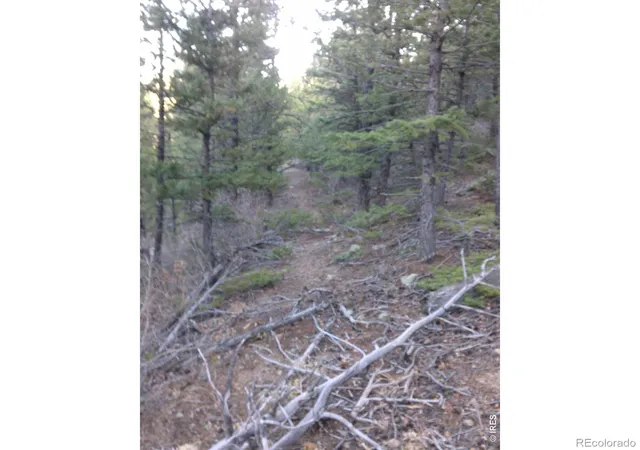 Photo 3 of Land for sale at 0 Pennsylvania Gulch Rd, Boulder, CO 80302 | MLS# IR1064496 | Listing updated on 2026-08-07