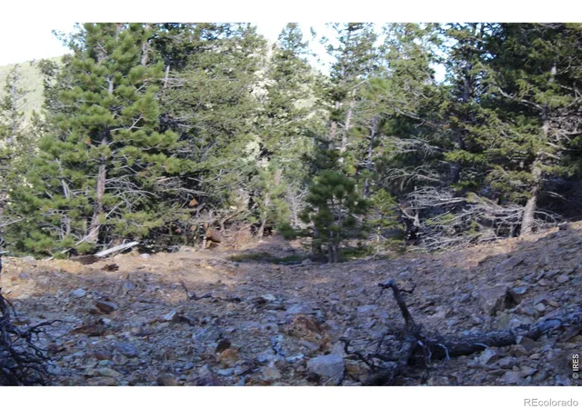 Photo 4 of Land for sale at 0 Pennsylvania Gulch Rd, Boulder, CO 80302 | MLS# IR1064496 | Listing updated on 2026-08-07