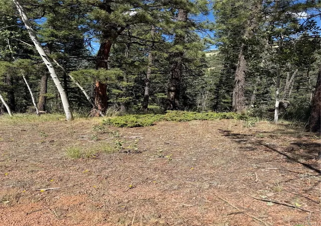 1st image of 1007 Derby Dr, Cripple Creek, CO 80813 | MLS# 9733026