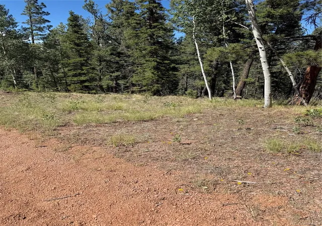 2nd image of 1007 Derby Dr, Cripple Creek, CO 80813 | MLS# 9733026