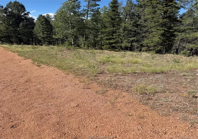 3rd image of 1007 Derby Dr, Cripple Creek, CO 80813 | MLS# 9733026