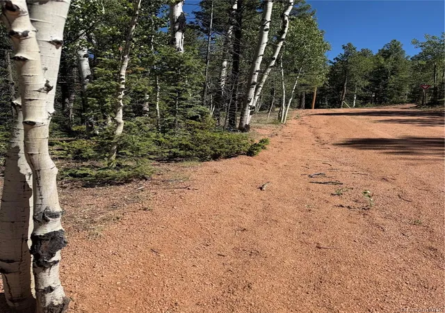 4th image of 1007 Derby Dr, Cripple Creek, CO 80813 | MLS# 9733026
