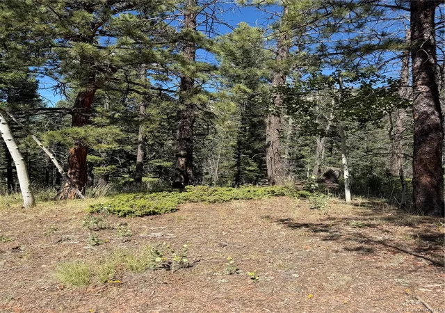 5th image of 1007 Derby Dr, Cripple Creek, CO 80813 | MLS# 9733026