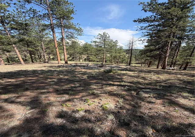 1st image of 39 Rabbil Creek Trl, Florissant, CO 80816 | MLS# 9286381