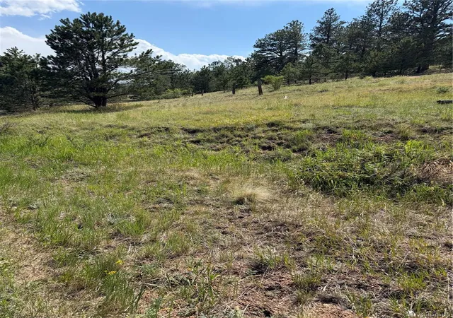 11th image of 39 Rabbil Creek Trl, Florissant, CO 80816 | MLS# 9286381