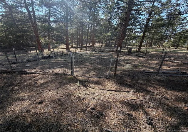 2nd image of 39 Rabbil Creek Trl, Florissant, CO 80816 | MLS# 9286381