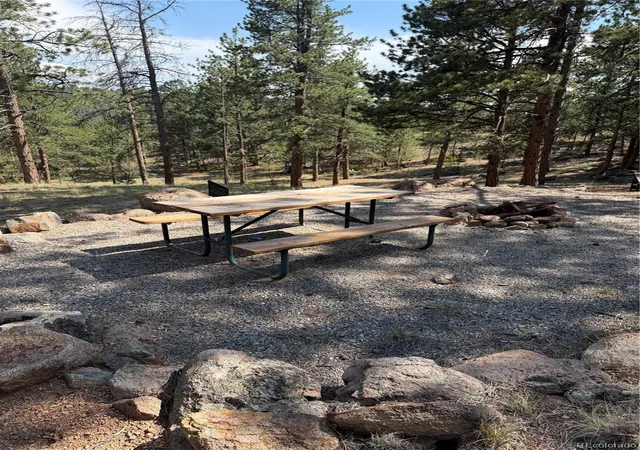 3rd image of 39 Rabbil Creek Trl, Florissant, CO 80816 | MLS# 9286381