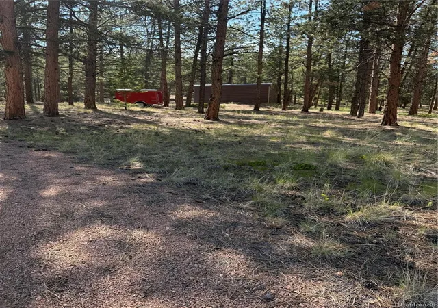 5th image of 39 Rabbil Creek Trl, Florissant, CO 80816 | MLS# 9286381