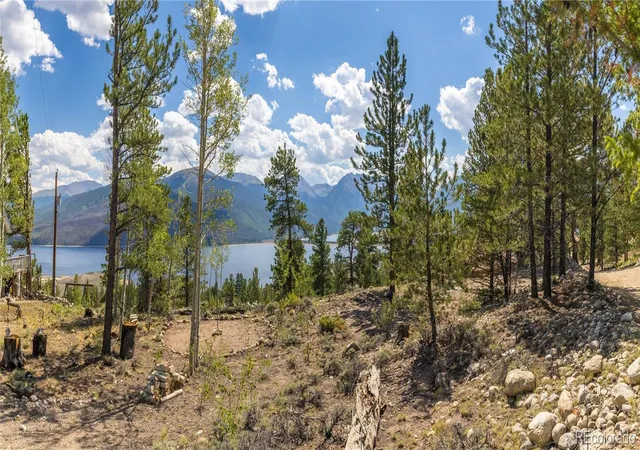 19th image of 198 Parry Peak Dr, Twin Lakes, CO 81251 | MLS# 8705798