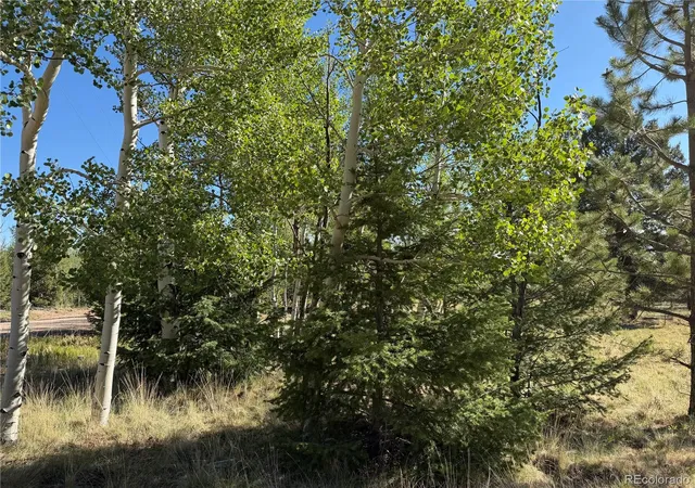Photo 3 of Land for sale at 9430 Ranch Rd, Hartsel, CO 80449 | MLS# 2335842 | Listing updated on 2026-07-22