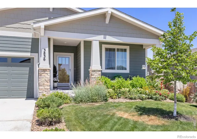 5th image of 3836 Sweetgum St, Wellington, CO 80549 | MLS# IR1064568