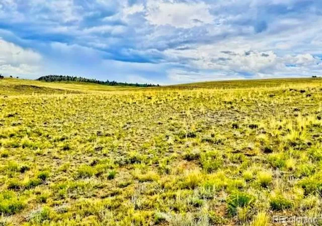 Photo 5 of Land for sale at 123 Chickamauga Trl, Hartsel, CO 80449 | MLS# 2568952 | Listing updated on 2026-07-23