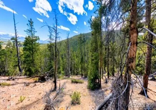 2nd image of 111 Kevin Gulch Rd, Leadville, CO 80461 | MLS# 3526287