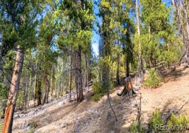 Photo 3 of Land for sale at 111 Kevin Gulch Rd, Leadville, CO 80461 | MLS# 3526287 | Listing updated on 2026-07-27
