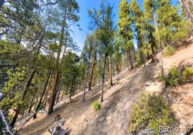 Photo 3 of Land for sale at 111 Kevin Gulch Rd, Leadville, CO 80461 | MLS# 3526287 | Listing updated on 2026-07-27