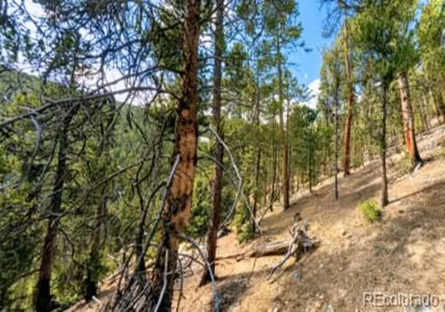 Photo 4 of Land for sale at 111 Kevin Gulch Rd, Leadville, CO 80461 | MLS# 3526287 | Listing updated on 2026-07-27