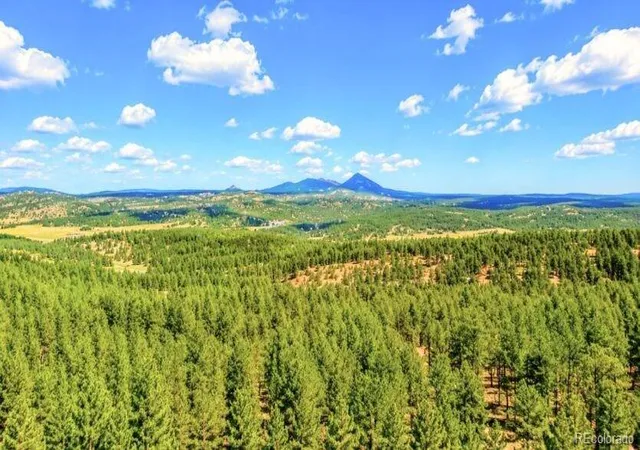 1st image of 196 Freeman Dr, Florissant, CO 80816 | MLS# 2583499