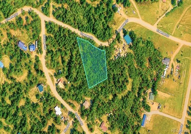 20th image of 196 Freeman Dr, Florissant, CO 80816 | MLS# 2583499