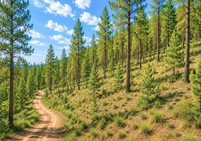2nd image of 196 Freeman Dr, Florissant, CO 80816 | MLS# 2583499
