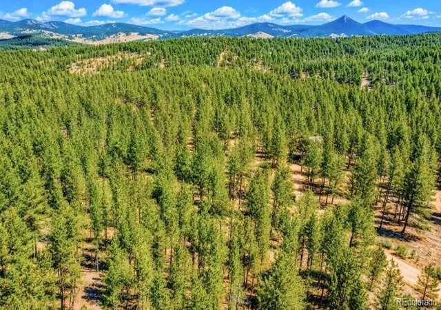 3rd image of 196 Freeman Dr, Florissant, CO 80816 | MLS# 2583499