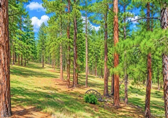 4th image of 196 Freeman Dr, Florissant, CO 80816 | MLS# 2583499