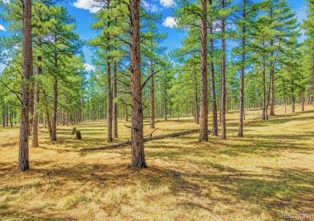 5th image of 196 Freeman Dr, Florissant, CO 80816 | MLS# 2583499
