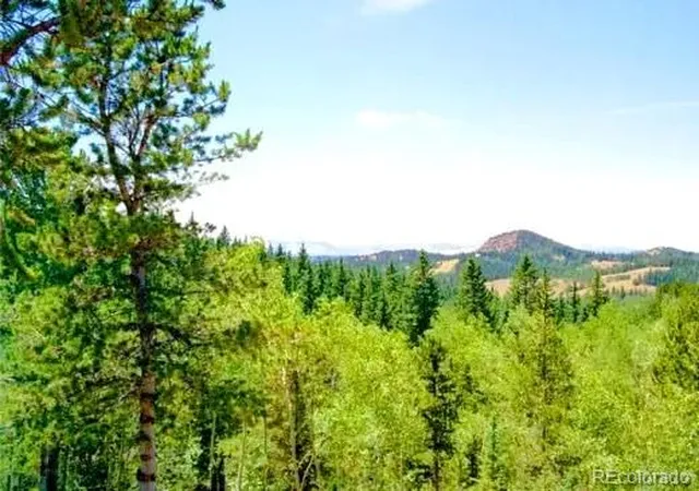 1st image of 111 Co 67, Cripple Creek, CO 80813 | MLS# 7419408
