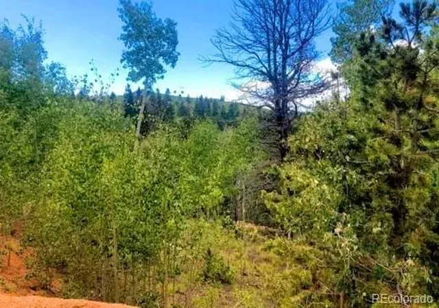 2nd image of 111 Co 67, Cripple Creek, CO 80813 | MLS# 7419408