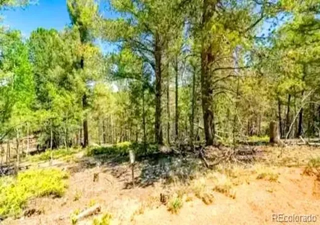 3rd image of 111 Co 67, Cripple Creek, CO 80813 | MLS# 7419408