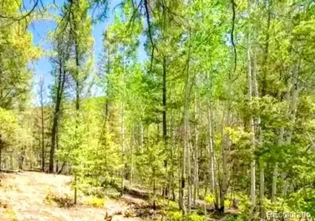 4th image of 111 Co 67, Cripple Creek, CO 80813 | MLS# 7419408