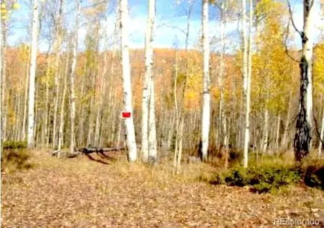 5th image of 111 Co 67, Cripple Creek, CO 80813 | MLS# 7419408