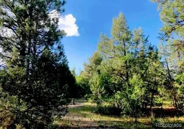 Photo 3 of Land for sale at 131 Retreat Ct, Pagosa Springs, CO 81147 | MLS# 5239395 | Listing updated on 2026-07-22